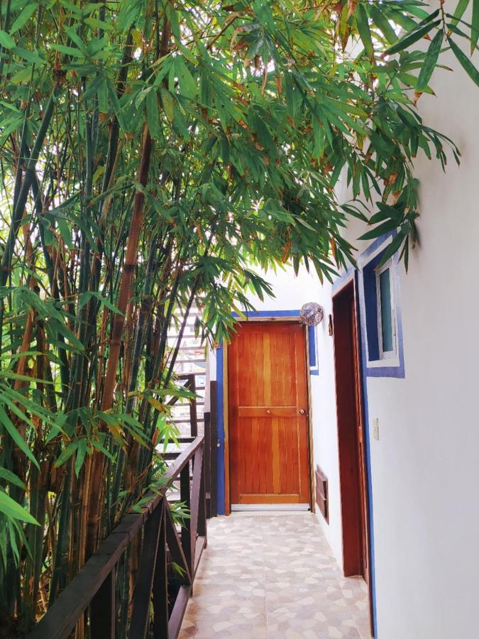 Hotel Jardin Mahahual Ngoại thất bức ảnh